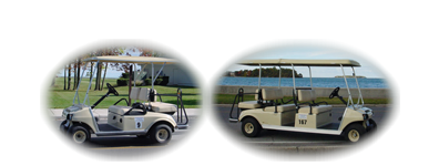 Put-in-Bay, Put In Bay Golf Carts