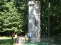 Put in Bay Rock Wall